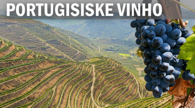Portugisiske vine med Vinho (2)