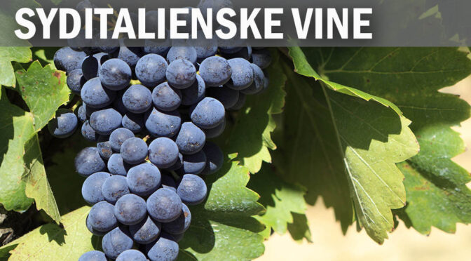 Syditalienske vine med Estrup & Udsen Vin (3)