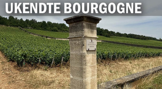 Det ukendte Bourgogne … Côte Chalonnaise med Pinochar Wine inkl. vor traditionelle generalforsamling (1)